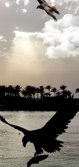 Eagle silhouette flying over water during sunset with cloudy sky.