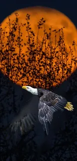 Majestic eagle flying with an orange full moon in the background.