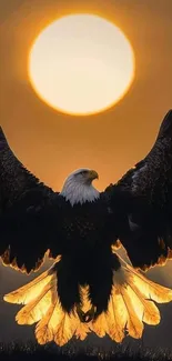 Bald eagle with wings spread wide against a glowing sunset.