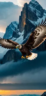 Eagle flying over sunset-lit mountains, capturing nature's majesty.