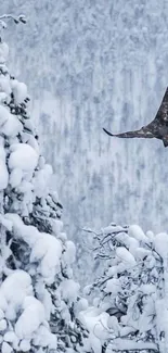 Eagle flying over snowy forest landscape.