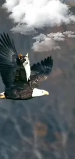 Eagle carrying a cat beneath fluffy clouds in a whimsical scene.