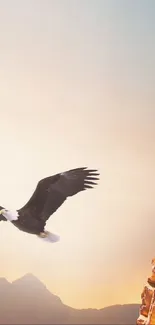 Eagle soaring through a sunlit cave at sunrise.