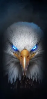 Eagle with piercing blue eyes in a dark backdrop.