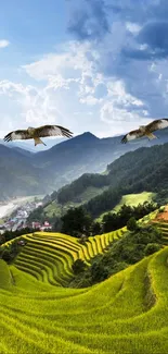 Eagles flying over green rice terraces and mountains.