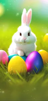 White bunny with Easter eggs on green grass.