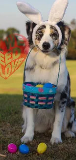 Dog in bunny ears with Easter basket and love message on grass.