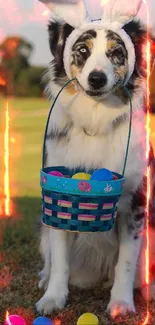 Dog with bunny ears and colorful Easter basket on grass.