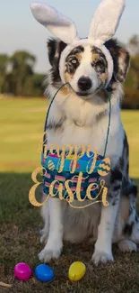 Dog with bunny ears holding a 'Happy Easter' sign outside.