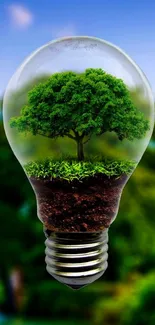 Light bulb with tree inside, set against a nature backdrop.