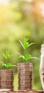 Stacks of coins with green plants sprouting and jars filled with money.