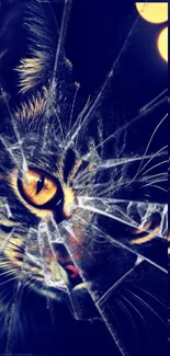 Edgy cat with intense eyes and broken glass effect.