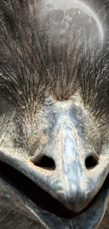 Close-up of a bird's face with moonlight highlighting its features.