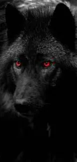 Black wolf with piercing red eyes in darkness.