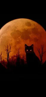 Mystical cat silhouette against an orange moon with a dark forest backdrop.