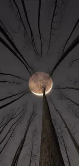 Eerie forest with the moon shining through silhouetted trees.