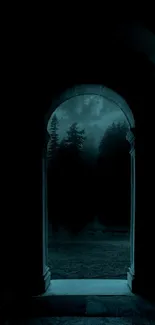 Eerie nighttime forest through ancient stone archway.