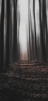 Eerie forest path with tall, dark trees
