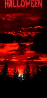 Eerie Halloween night with red sunset and forest silhouette.