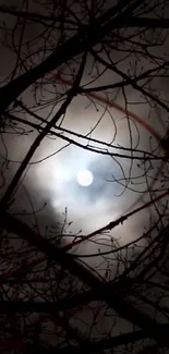 Eerie night scene with moon through dark branches.