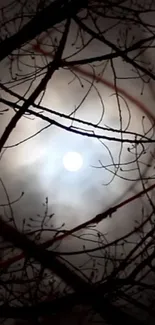 Eerie moonlit branches against a night sky, creating a mysterious atmosphere.