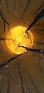 Moonlit forest with silhouetted branches against a glowing orange moon.