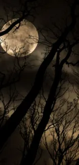 Dark silhouettes of trees against a full moon in a night sky scene.