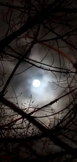 Moonlit sky with silhouetted tree branches creating an eerie ambiance.