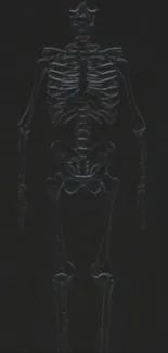 Dark skeleton wallpaper with black background, perfect for mobile.