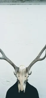 Eerie deer skull and antlers on minimalist white background.