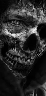 Monochrome skull design on a dark background.