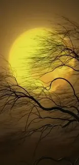 Leafless tree against a yellow glowing moon at night.