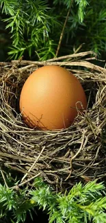 Brown egg nestled in a natural bird's nest amidst lush green foliage.