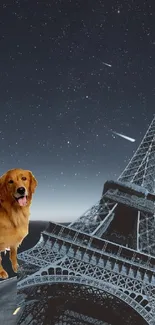 Golden retriever and Eiffel Tower under starry sky.