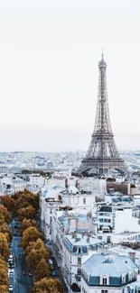 A stunning vertical view of the Eiffel Tower in Paris with a clear sky backdrop.