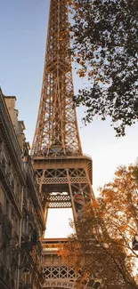 Eiffel Tower in Paris during sunset with warm brown tones.