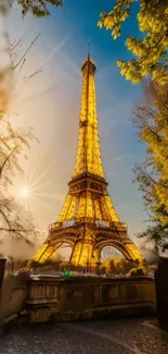 Eiffel Tower glowing at sunset in autumn leaves.