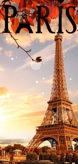 Eiffel Tower in Paris with autumn leaves and sunset sky.