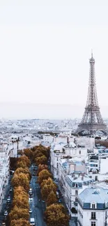 Eiffel Tower amidst Paris cityscape, mobile wallpaper.