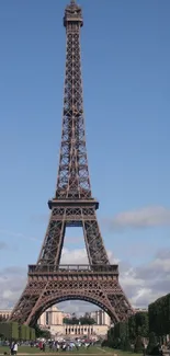 Eiffel Tower under a clear blue sky with green lawns.