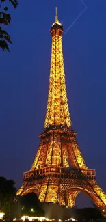 Eiffel Tower glowing at night in Paris, stunning view.