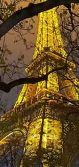 Eiffel Tower illuminated at night through trees.