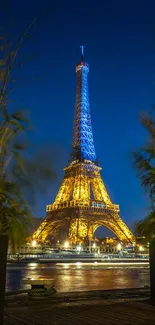 Eiffel Tower beautifully illuminated at night with a blue sky backdrop.