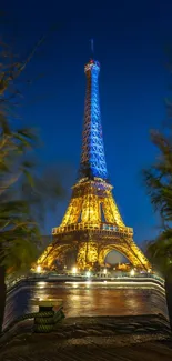 Eiffel Tower illuminated at night with a deep blue sky backdrop.