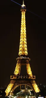 Eiffel Tower illuminated at night in golden light.