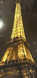 Illuminated Eiffel Tower at night with glowing golden lights.