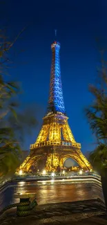 Eiffel Tower illuminated against a blue night sky with surrounding trees.