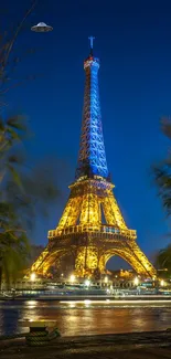Eiffel Tower illuminated against a night sky with lush green foreground.