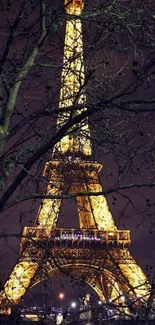 Illuminated Eiffel Tower amongst trees at night, Paris wallpaper.