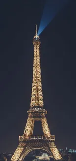 Eiffel Tower glowing under a dark night sky, creating a stunning skyline view.